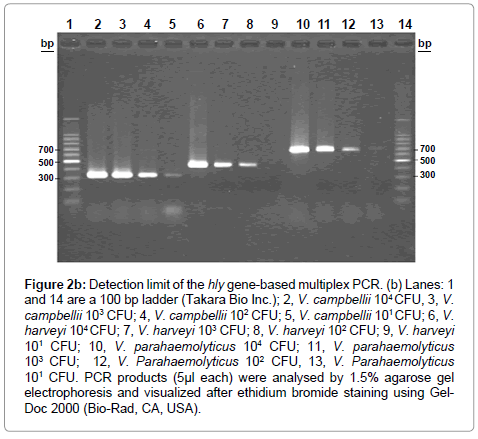 marine-science-research-development-Detection-limit