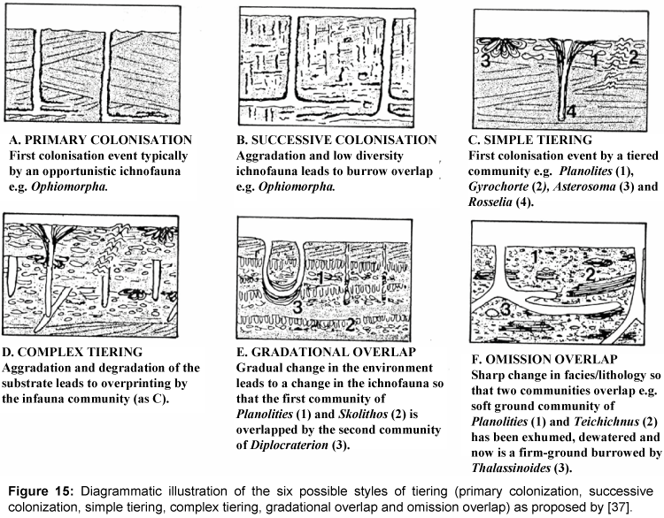 marine-science-research-development-Diagrammatic-illustration