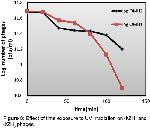 marine-science-research-development-Effect-time