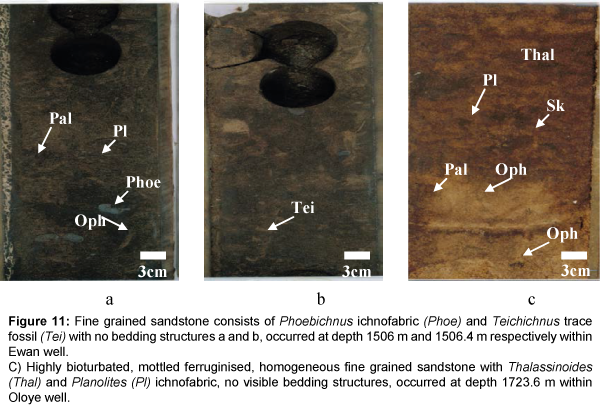 marine-science-research-development-Fine-grained