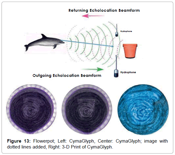 marine-science-research-development-Flowerpot-Left-CymaGlyph