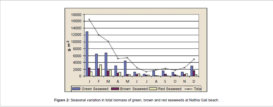 marine-science-research-development-Gali-beach
