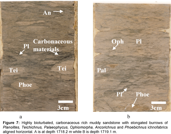 marine-science-research-development-Highly-bioturbated