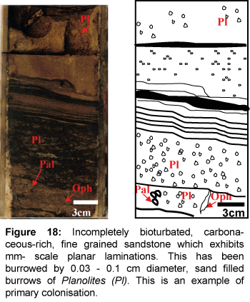 marine-science-research-development-Incompletely-bioturbated