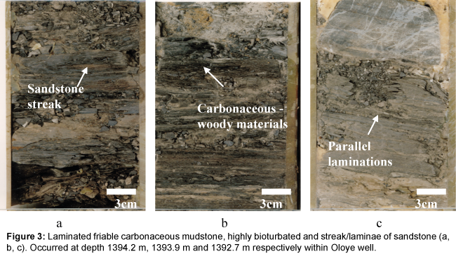 marine-science-research-development-Laminated-friable