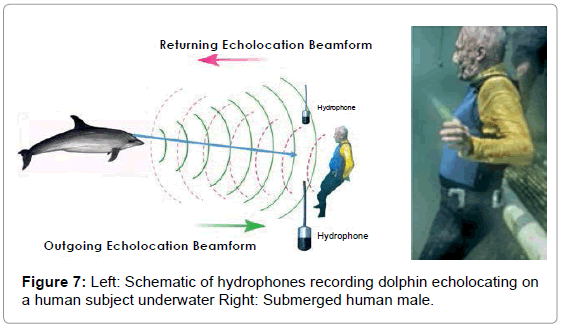 marine-science-research-development-Left-Schematic
