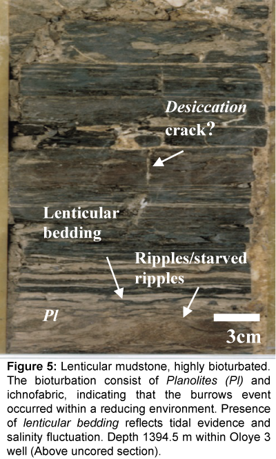 marine-science-research-development-Lenticular-mudstone