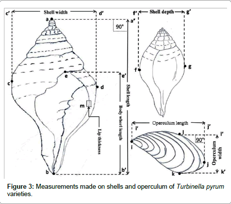 marine-science-research-development-Measurements-made