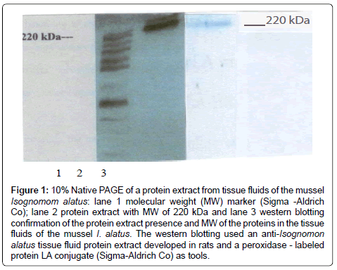 marine-science-research-development-Native-PAGE