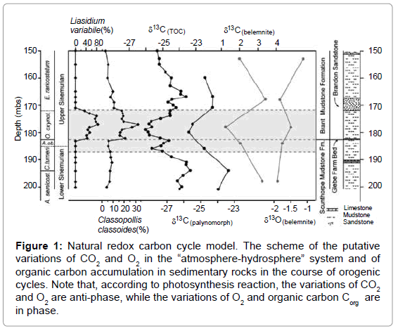 marine-science-research-development-Natural-redox-carbon