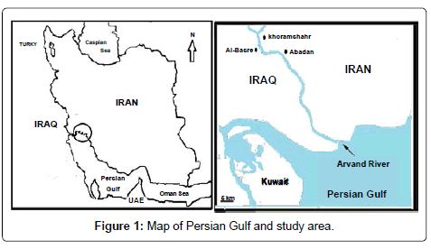 marine-science-research-development-Persian-Gulf