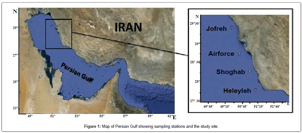 marine-science-research-development-Persian-Gulf