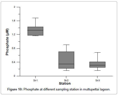 marine-science-research-development-Phosphate-different