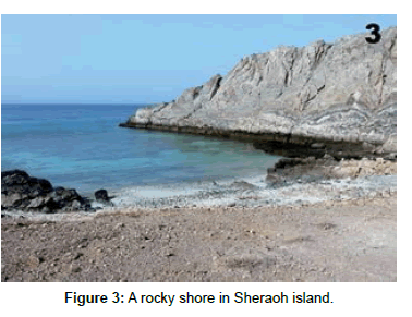 marine-science-research-development-Sheraoh