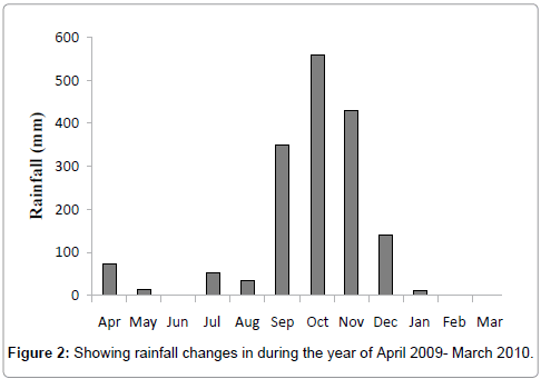 marine-science-research-development-Showing-rainfall
