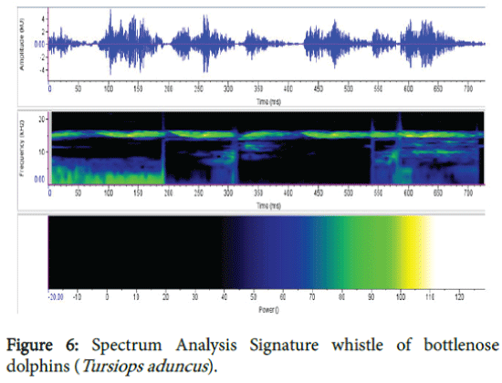 marine-science-research-development-Signature-whistle