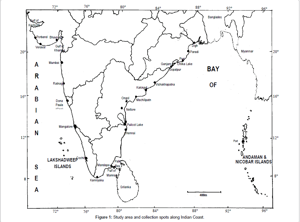 marine-science-research-development-Study-area