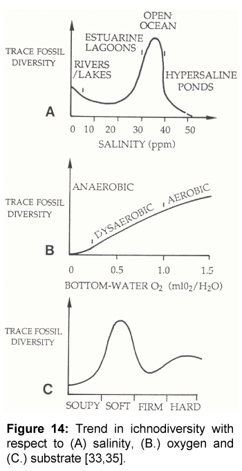 marine-science-research-development-Trend-ichnodiversity