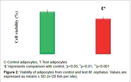 marine-science-research-development-Viability-adipocytes