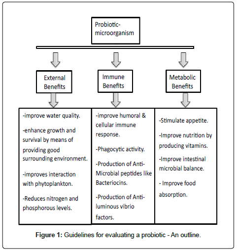 marine-science-research-development-an-outline