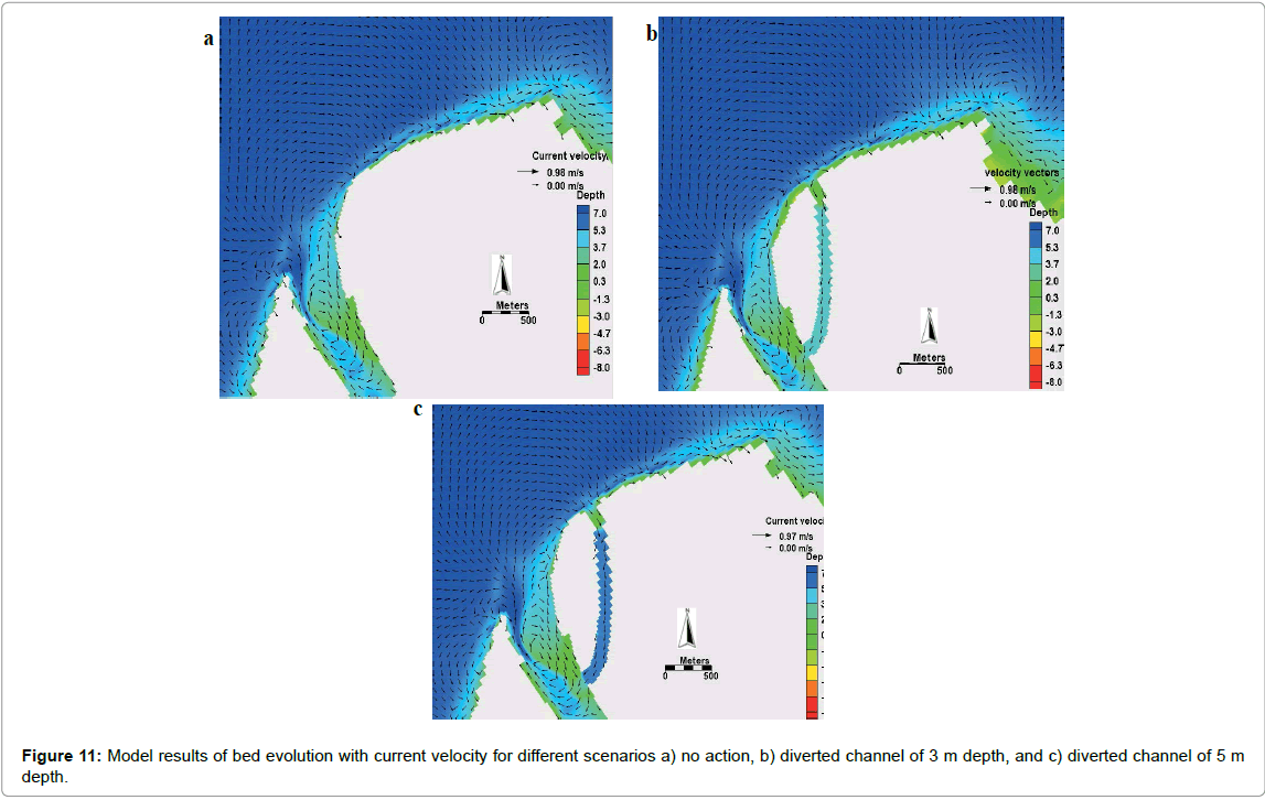 marine-science-research-development-bed-evolution