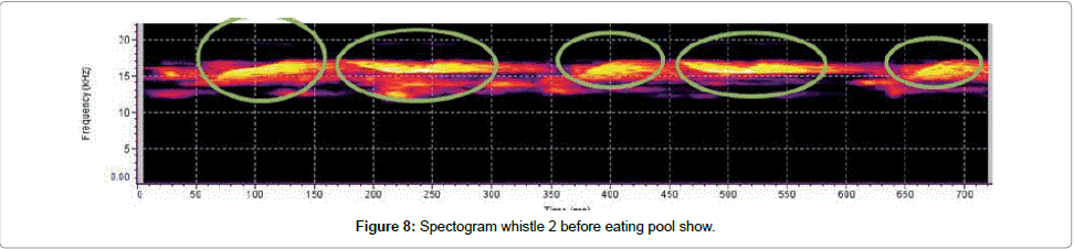 marine-science-research-development-before-eating