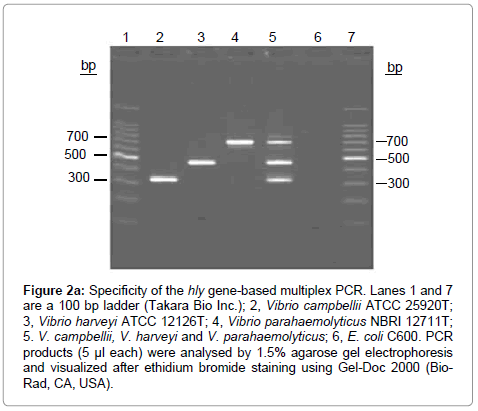 marine-science-research-development-bp-ladder