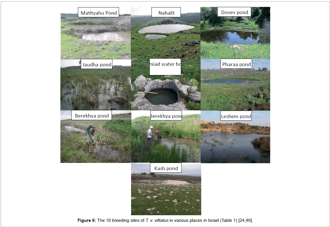 marine-science-research-development-breeding-sites