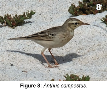 marine-science-research-development-campestus