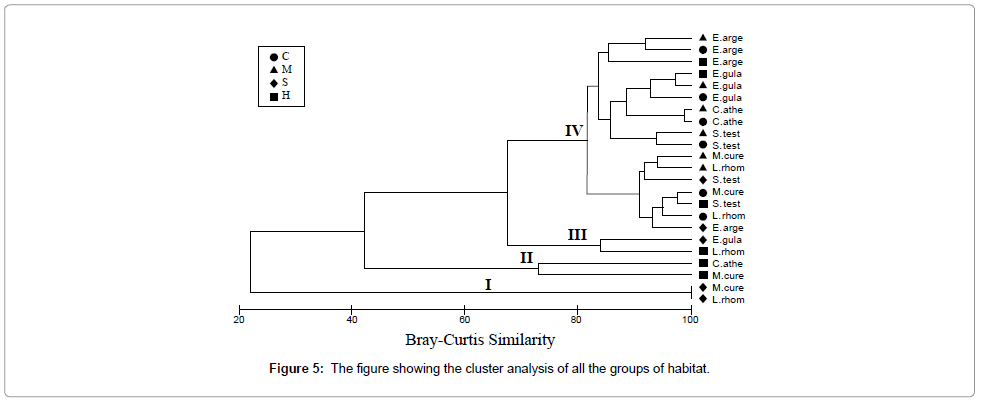 marine-science-research-development-cluster-analysis