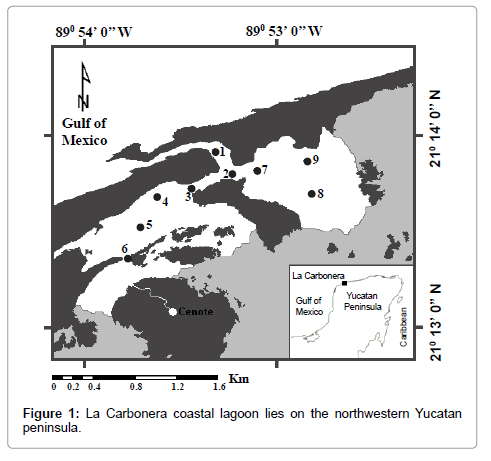 marine-science-research-development-coastal-lagoon