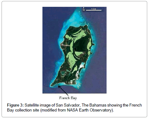 marine-science-research-development-collection-site