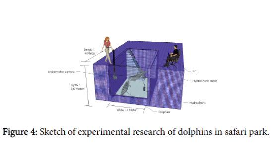 marine-science-research-development-experimental-research