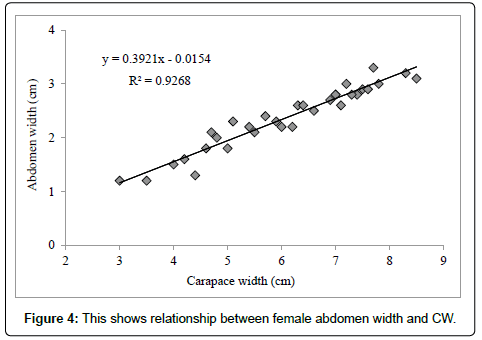 marine-science-research-development-female-abdomen