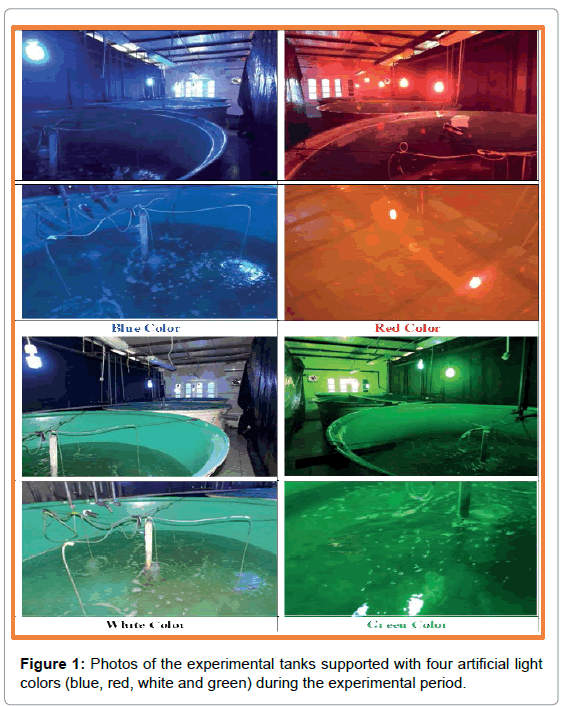 marine-science-research-development-four-artificial