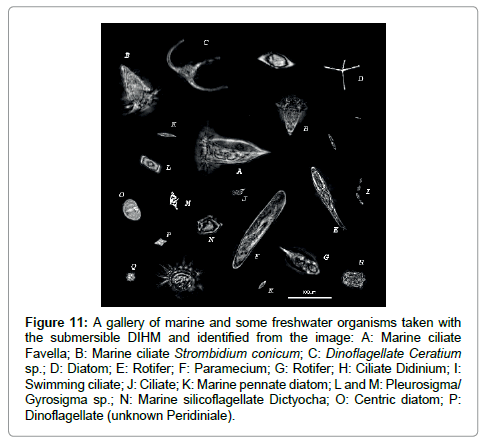 marine-science-research-development-freshwater
