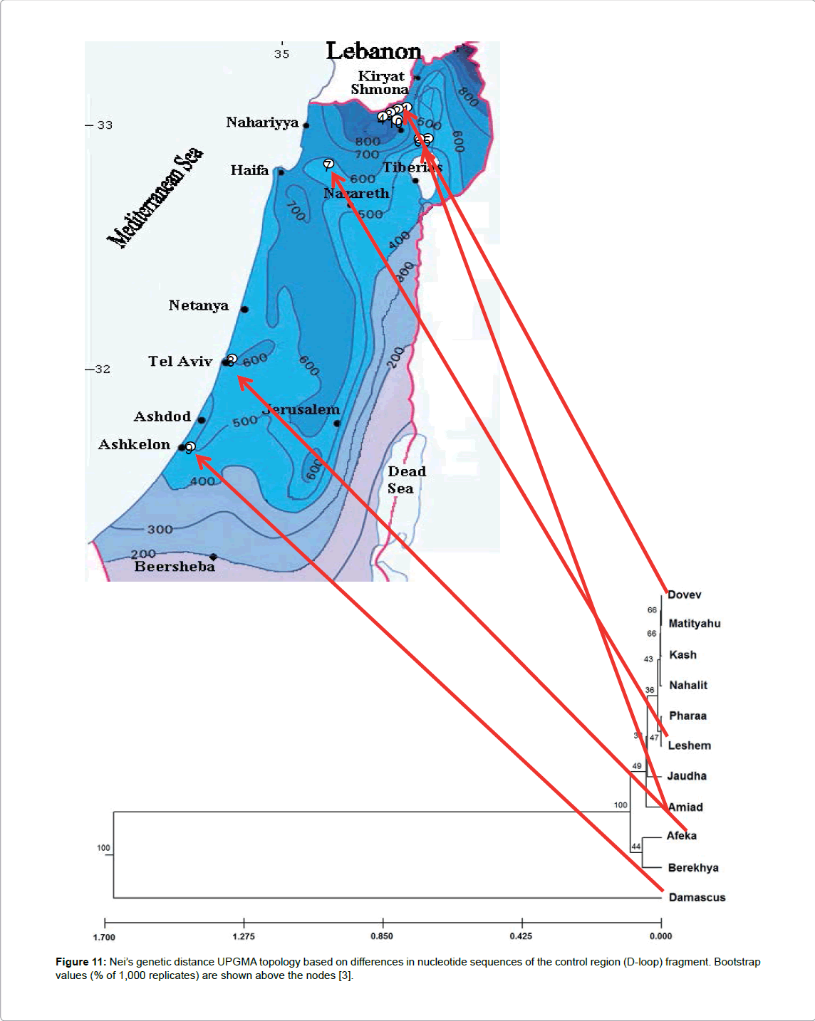 marine-science-research-development-genetic-distance