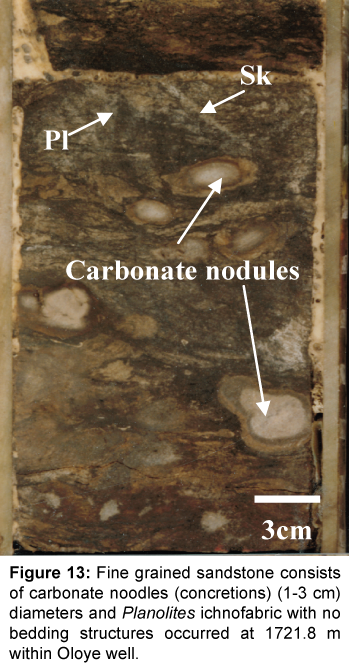 marine-science-research-development-grained-sandstone