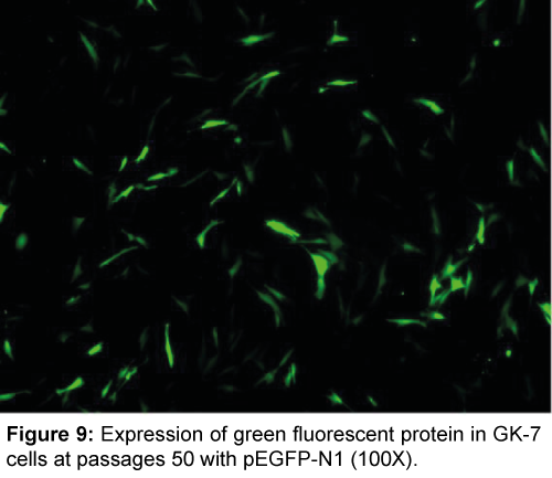 marine-science-research-development-green-fluorescent