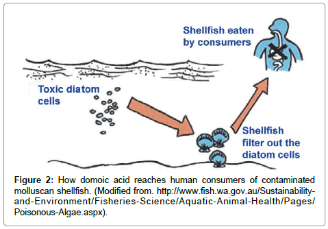 marine-science-research-development-human-consumers