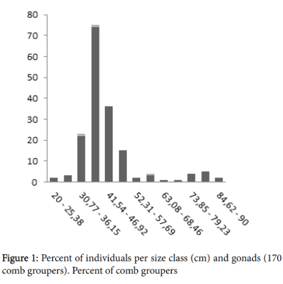 marine-science-research-development-individuals-per-size