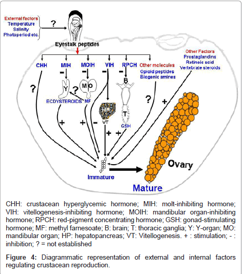 marine-science-research-development-internal-factors