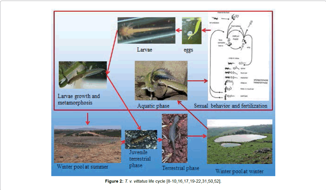marine-science-research-development-life-cycle