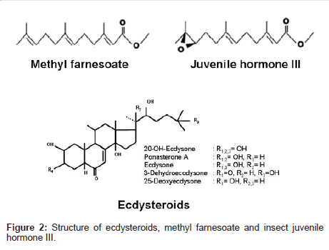 marine-science-research-development-methyl-farnesoate