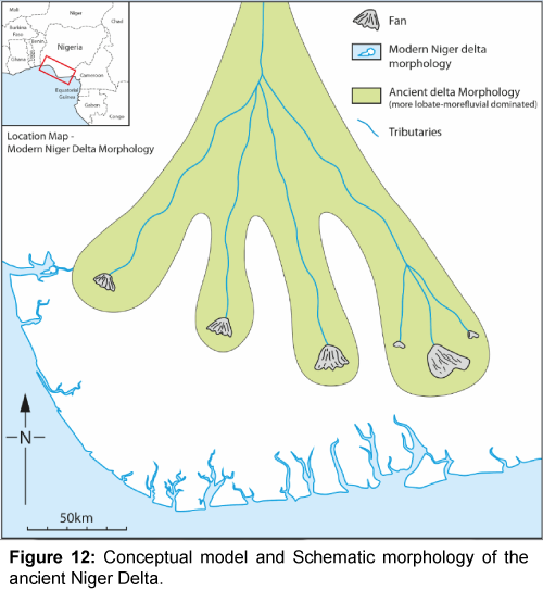 marine-science-research-development-morphology