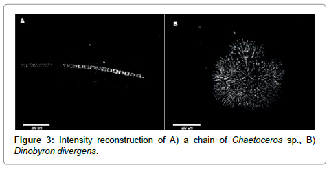 marine-science-research-development-reconstruction