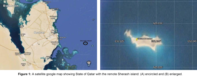 marine-science-research-development-satellite-google