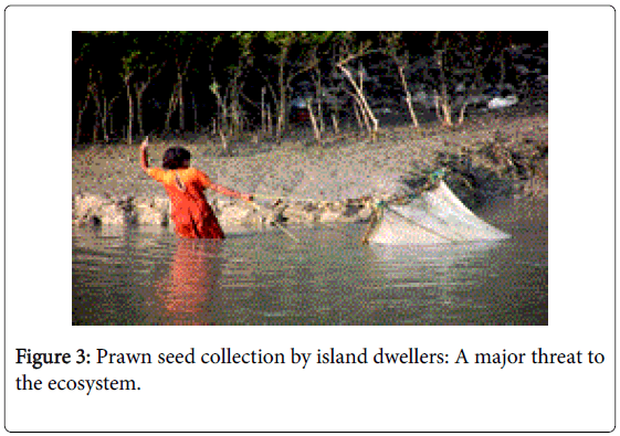 marine-science-research-development-seed-collection