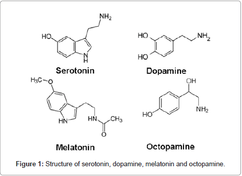 marine-science-research-development-serotonin-dopamine