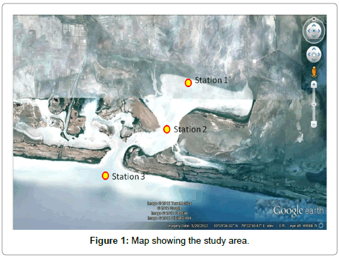 marine-science-research-development-study-area